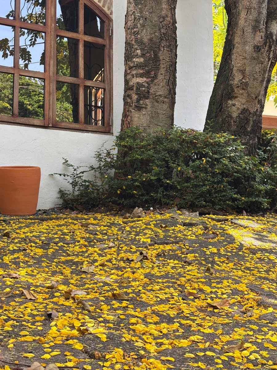 Home 🙏🏻🌼💛💛