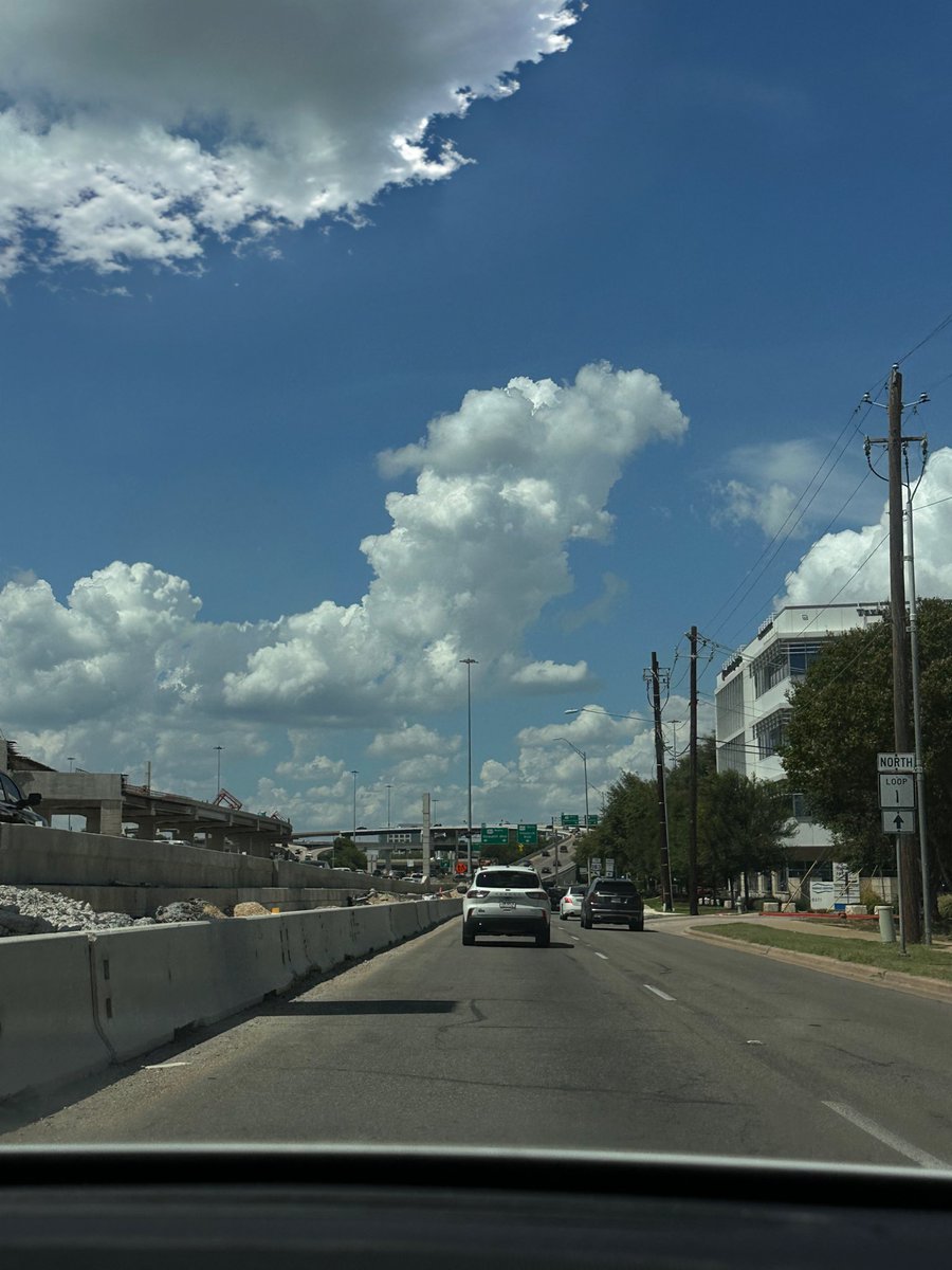 i am cat ✂️ tweet media