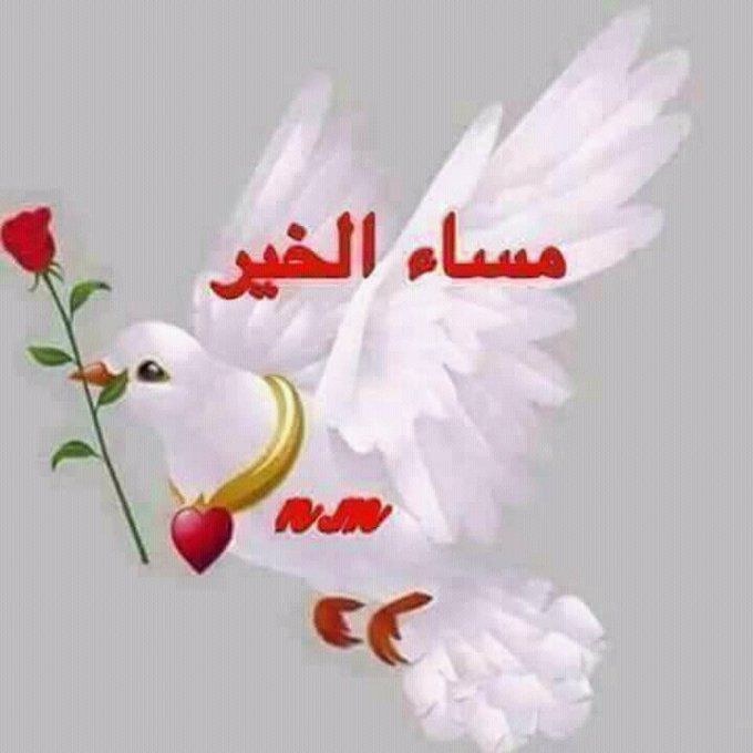 مرام (@mrm2181) on Twitter photo #دعم_مرام
#نجوم_التفاعل
<a href="/7tttJ/">ᘓɹ̇ɹ̤jɺI g͠ᓄɹɹɹ</a>
<a href="/1_i_1i/">🔥🅰️ 🇩 🅰️ 🇲🔥</a>
<a href="/9rrgr/">لهــيب المــشـا؏ر❤️🔥</a>
<a href="/0ril6/">سًےـلَطٌےـٱنٌےـ 🔥ٱلَٱحًےـسًےـٱسًےـ</a>
<a href="/_lub1/">✿𝖑𝖚𝖇𝖓𝖆 𝑨𝖑𝖎✿</a>
<a href="/fg2g3/">الزعيم أبو أحمد 💙🤍</a>
<a href="/Ghi1D/">David Antos</a>
<a href="/1qqmr/">𝓦𝓐𝓐𝓓</a>
<a href="/Ghz97/">✪𝗚𝖍𝖆𝖟𝖆𝖑𝖆𝖍 𝗦𝖆𝖉𝖆𝖋✪</a>
<a href="/nor3rh/">💎Nor elrhman💎</a>
<a href="/Mo2__f/">مثـ⸙²͢⁰͢²5ـنــى⸙ᘓ᭄ᵛ͢⍣⃝</a>
<a href="/Azhrls1/">AZHARUL SALMAN</a>
<a href="/2alyaat/">🕊️ عليــاء🕊️</a>
<a href="/h_maco/">Macit ⭐⭐⭐⭐⭐</a>
<a href="/V13lula/">Karen Lúcia♀️🚩🌵</a>
<a href="/lliill207/">Araj💫</a>
<a href="/nar1790/">ابو احمد</a>
<a href="/tune150/">➳❥ لحن الحياة 🕊</a>
<a href="/Hrschrin/">𝐋𝐢𝐜𝐡𝐭𝐤𝐫𝐨𝐧𝐞 عـــاڵــیــە 💫🌙</a>
<a href="/MoAli_15/">فاطمة❤</a>
<a href="/Lea_Dhai/">🐥𝒫𝓇𝒾𝓃𝒸𝑒𝓈𝓈 ℒ𝑒𝒶𝒽 ⭕️130 K👑</a>
<a href="/12ZZZ22/">دختور🔥🔥</a>
<a href="/poohglm/">بوح القلم</a>
<a href="/2026star/">نجم ★</a>
<a href="/kamelbslfj/">kamel كمال</a>
<a href="/alhsn8302/">خﮧآلﮧد آلﮧحﮧسﮧنﮧ</a>
<a href="/Sophia56891/">Sophia</a>
<a href="/alafanyn1943/">مرافئ</a> #دعم_مرام
#نجوم_التفاعل
<a href="/7tttJ/">ᘓɹ̇ɹ̤jɺI g͠ᓄɹɹɹ</a>
<a href="/1_i_1i/">🔥🅰️ 🇩 🅰️ 🇲🔥</a>
<a href="/9rrgr/">لهــيب المــشـا؏ر❤️🔥</a>
<a href="/0ril6/">سًےـلَطٌےـٱنٌےـ 🔥ٱلَٱحًےـسًےـٱسًےـ</a>
<a href="/_lub1/">✿𝖑𝖚𝖇𝖓𝖆 𝑨𝖑𝖎✿</a>
<a href="/fg2g3/">الزعيم أبو أحمد 💙🤍</a>
<a href="/Ghi1D/">David Antos</a>
<a href="/1qqmr/">𝓦𝓐𝓐𝓓</a>
<a href="/Ghz97/">✪𝗚𝖍𝖆𝖟𝖆𝖑𝖆𝖍 𝗦𝖆𝖉𝖆𝖋✪</a>
<a href="/nor3rh/">💎Nor elrhman💎</a>
<a href="/Mo2__f/">مثـ⸙²͢⁰͢²5ـنــى⸙ᘓ᭄ᵛ͢⍣⃝</a>
<a href="/Azhrls1/">AZHARUL SALMAN</a>
<a href="/2alyaat/">🕊️ عليــاء🕊️</a>
<a href="/h_maco/">Macit ⭐⭐⭐⭐⭐</a>
<a href="/V13lula/">Karen Lúcia♀️🚩🌵</a>
<a href="/lliill207/">Araj💫</a>
<a href="/nar1790/">ابو احمد</a>
<a href="/tune150/">➳❥ لحن الحياة 🕊</a>
<a href="/Hrschrin/">𝐋𝐢𝐜𝐡𝐭𝐤𝐫𝐨𝐧𝐞 عـــاڵــیــە 💫🌙</a>
<a href="/MoAli_15/">فاطمة❤</a>
<a href="/Lea_Dhai/">🐥𝒫𝓇𝒾𝓃𝒸𝑒𝓈𝓈 ℒ𝑒𝒶𝒽 ⭕️130 K👑</a>
<a href="/12ZZZ22/">دختور🔥🔥</a>
<a href="/poohglm/">بوح القلم</a>
<a href="/2026star/">نجم ★</a>
<a href="/kamelbslfj/">kamel كمال</a>
<a href="/alhsn8302/">خﮧآلﮧد آلﮧحﮧسﮧنﮧ</a>
<a href="/Sophia56891/">Sophia</a>
<a href="/alafanyn1943/">مرافئ</a>