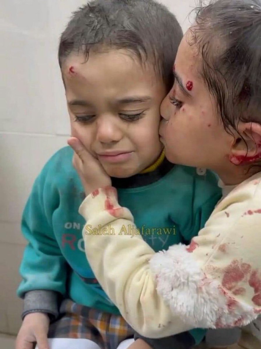 If you see these little angels, reply with 🇵🇸💔