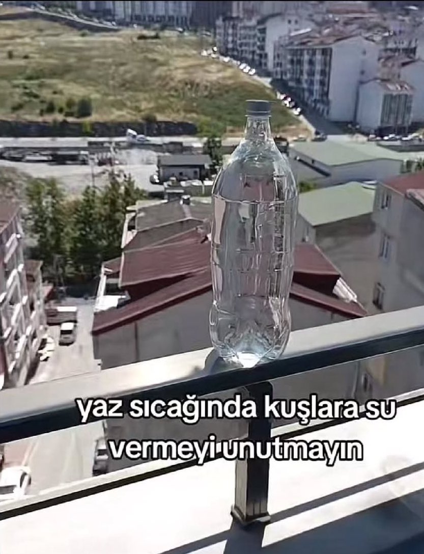 “Ne istediysen verdim, neyin eksik?”Cümlesindeki verme şekli