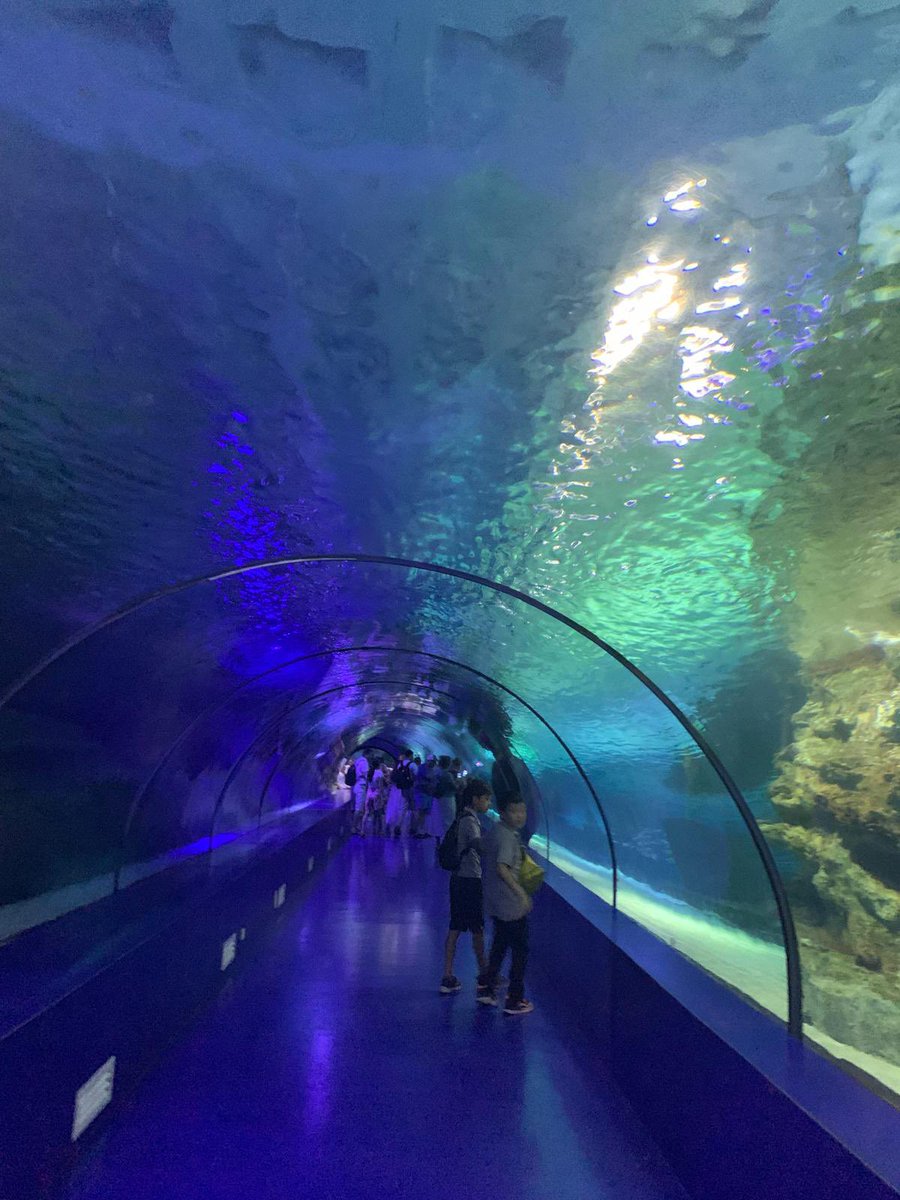 Şehit Erhan Çakmak Ortaokulu Antalya gezisinden kareler.