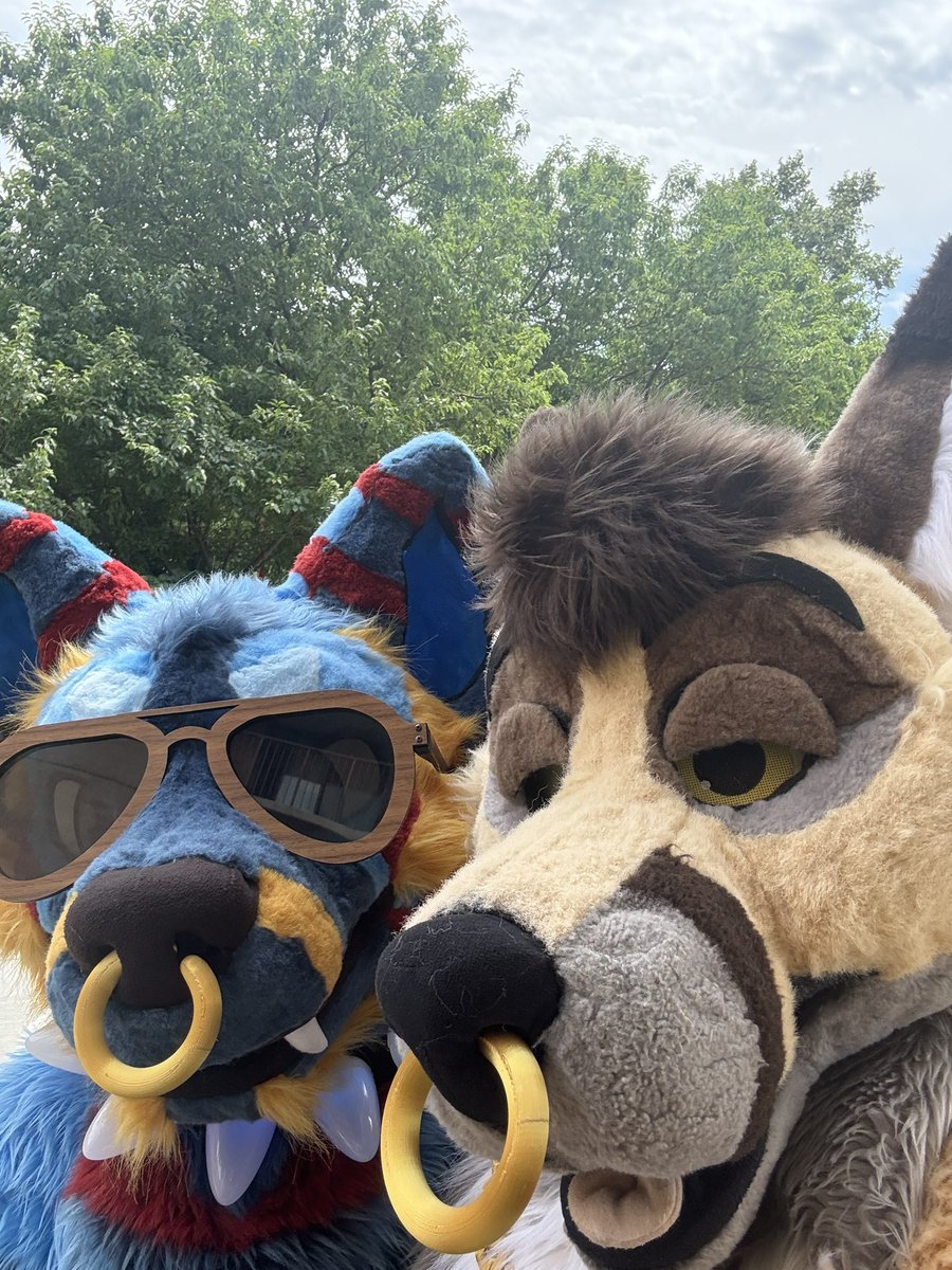 Nap Doggy 🔜 TFF (@napvevo) on Twitter photo Being a big dumb dog at pride 🐶 Being a big dumb dog at pride 🐶