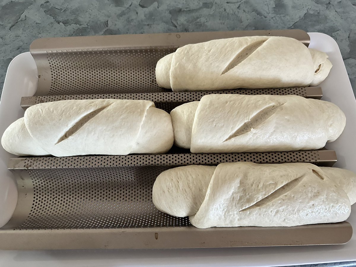 Bigdazw's tweet image. Chester helped me make Banh mi roll’s which we had for dinner loaded with grilled chicken, pickled carrots, cucumber, jalapeño, green onion & lashings of sriracha mayo. The rolls were crunchy, soft yet chewy the best we have ever made. #MightyChester #banhmi
