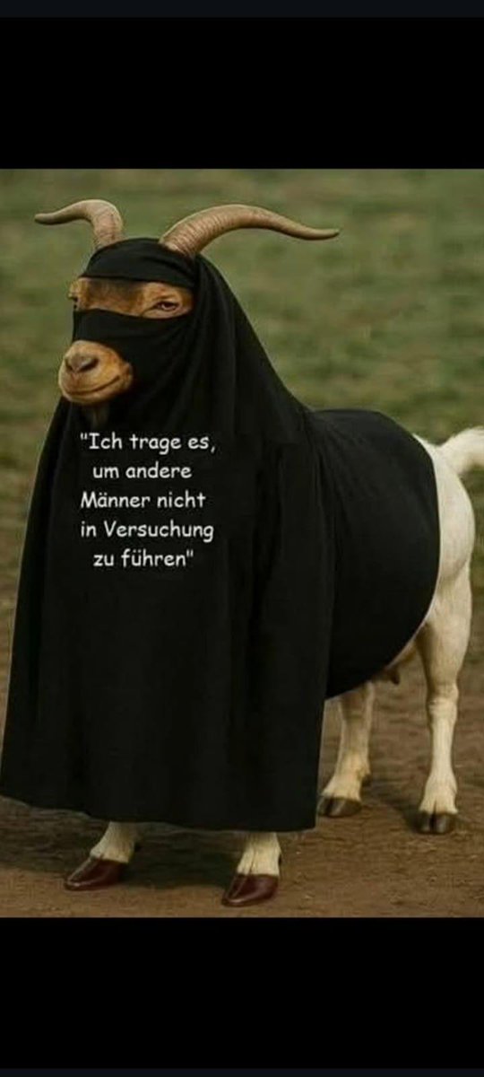 Und darum werden unsere mädchen vergewaltigt und getötet 🤬