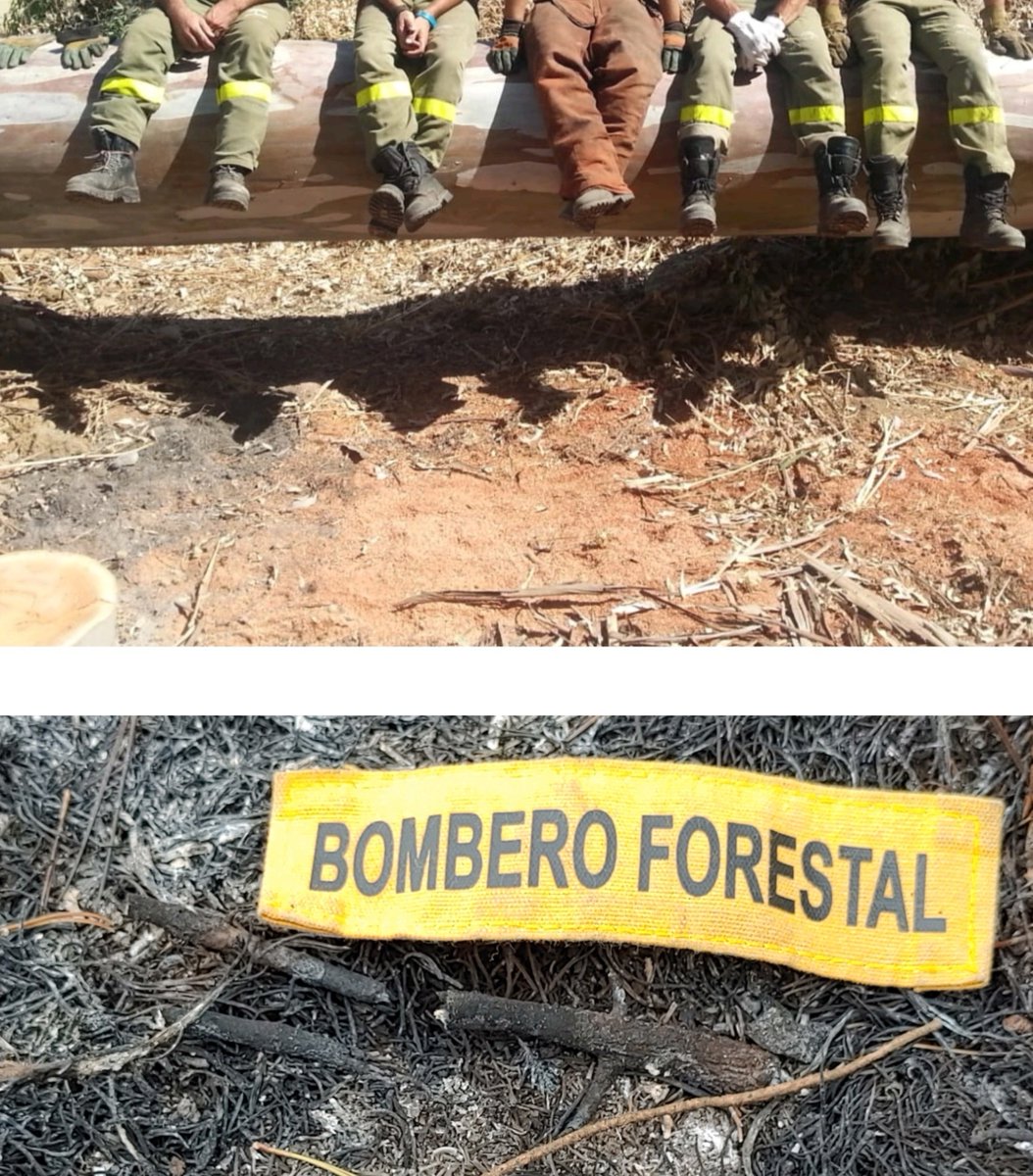 SandezSndez1's tweet image. Un trabajo donde sabes que has llegado a lo más alto que puedes aspirar cuando formas parte de un grupo.

Un grupo que solo dara marcha atrás para empujar con más fuerza.