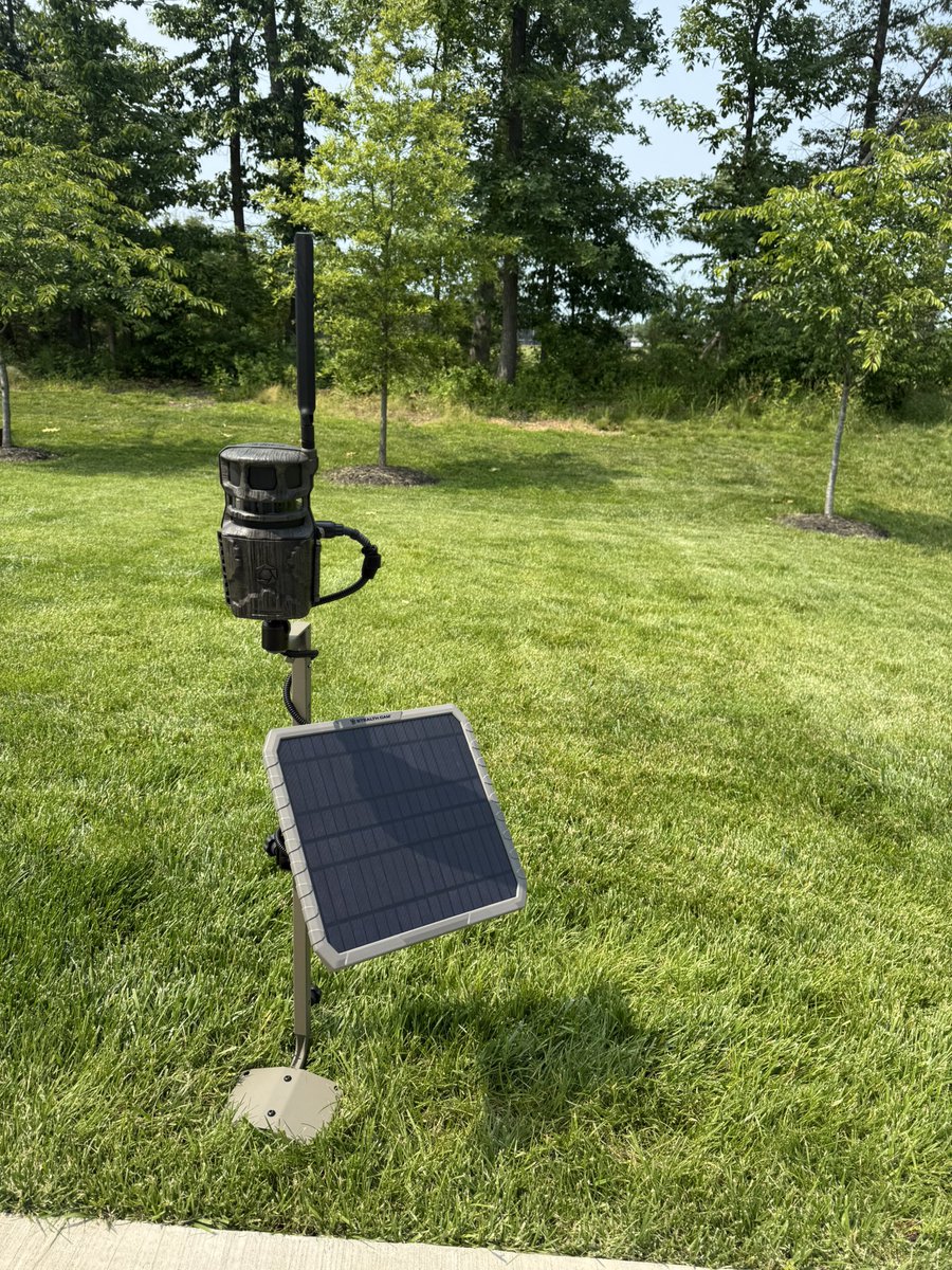 Engineered2Hunt's tweet image. Strategic Summer Trail Camera Tip 🦌📸

In summer, set cameras on:
✅ Feeding areas
✅ Logging roads
✅ Consistent deer travel zones

Bachelor groups roam wide this time of year. Don’t stress buck beds—just be where the activity is.

Summer is for inventory, not patterning.…