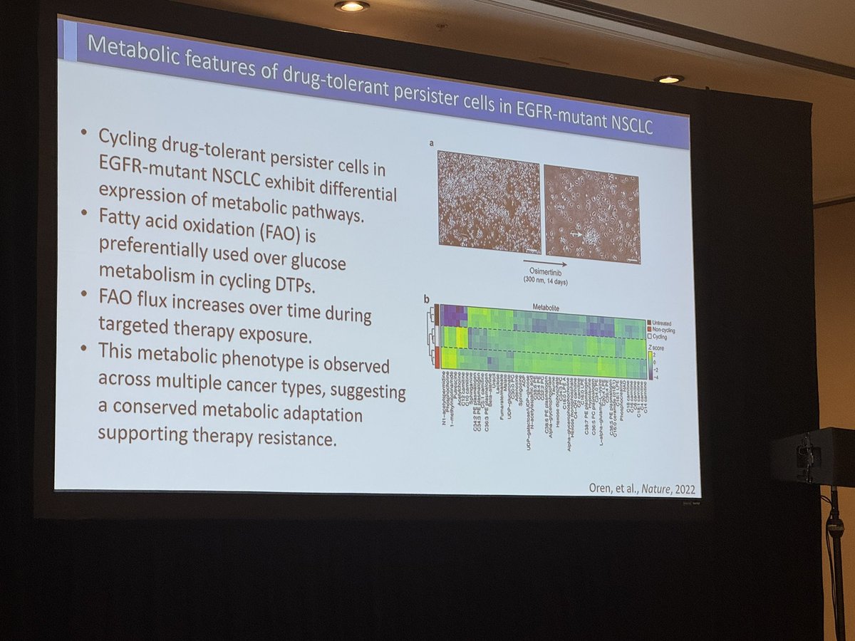 Latinamd's tweet image. #HawaiiLung25 Blown away by presentation by @DrJaimeLaurel @MGHCancerCenter on promise of #metabolomics - targeting metabolism vulnerabilities in cancer treatments: MTAP, GUK1, FAO @DAVAOnc  #lcsm