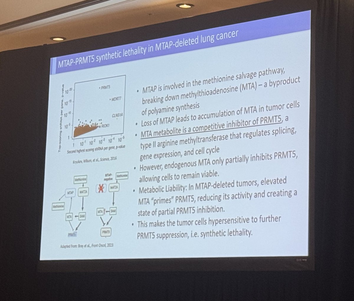 Latinamd's tweet image. #HawaiiLung25 Blown away by presentation by @DrJaimeLaurel @MGHCancerCenter on promise of #metabolomics - targeting metabolism vulnerabilities in cancer treatments: MTAP, GUK1, FAO @DAVAOnc  #lcsm
