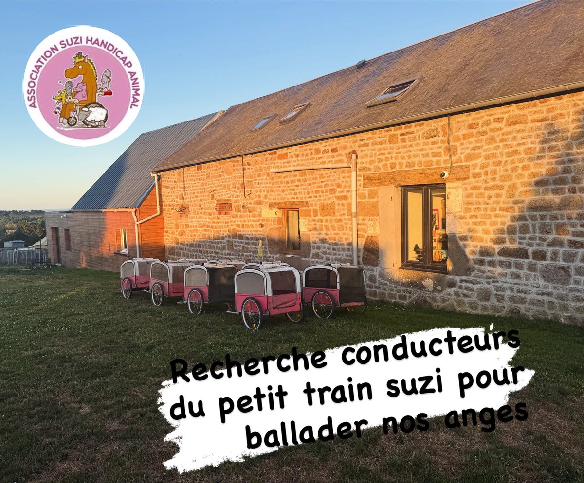 🚂 Appel à bénévoles : devenez conducteur du petit train du bonheur ! 🐾

Notre refuge recherche des bénévoles pour conduire notre petit train (avec un tracteur-tondeuse 🚜) et offrir un moment de joie à nos animaux lourdement handicapés… qui adorent ces balades !

💖 Quand ?
•
