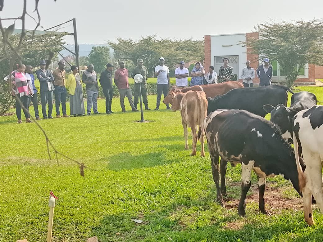 Uyu munsi, ku bufatanye bw’Akarere n’Ihuriro ry’Abikorera bo mu Karere, abaturage 13 barimo abarokotse Jenoside yakorewe Abatutsi n’abamugariye ku rugamba rwo kubohora Igihugu borojwe inka mu rwego rwo kuzamura imibereho myiza n’iterambere ry’ingo zabo. 

#Kwibohora31