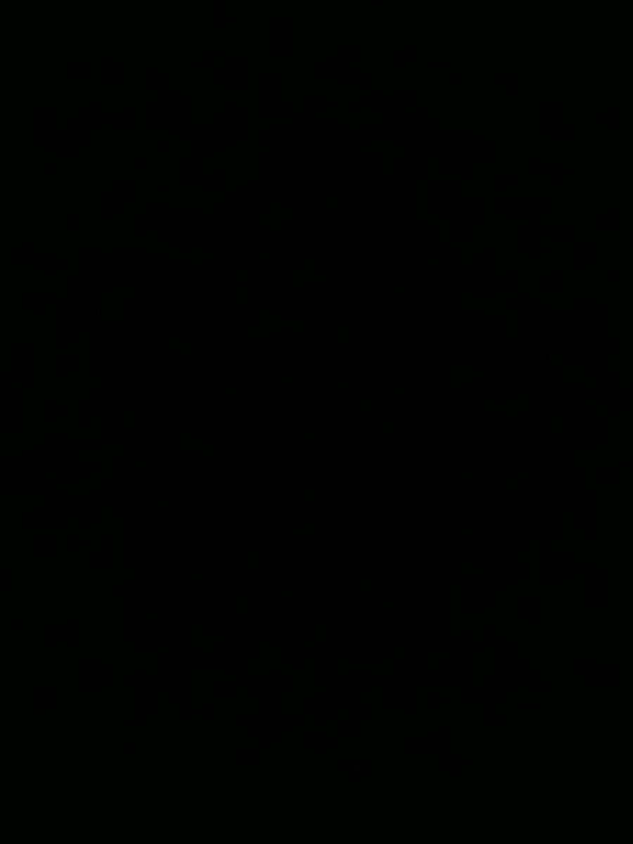 BLACKELECTRIC_'s tweet photo. ᅠᅠ
ᅠᅠ
𝑬𝑯 ? 𝒀𝑶𝑼 𝑻𝑨𝑳𝑲𝑰𝑵 𝑨𝑩𝑶𝑼𝑻 𝑴𝒀 𝑳𝑬𝑮𝑺 ?ᅠᅠ
ᅠᅠ https://t.co/vcXdTnffrG