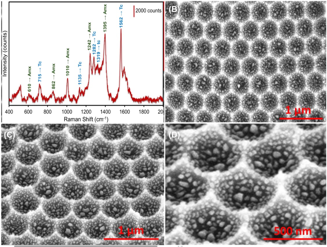 Excited to share our latest research published in Nanophotonics 2025, Nanoconcave plasmonic lattices for SERS-based multi-antibiotic detection.
The article is Open Access and now available online.
Congrats to all co-authors
doi.org/10.1515/nanoph…
<a href="/Nanophotonics_J/">Nanophotonics</a> <a href="/universitatURV/">Universitat Rovira i Virgili</a>