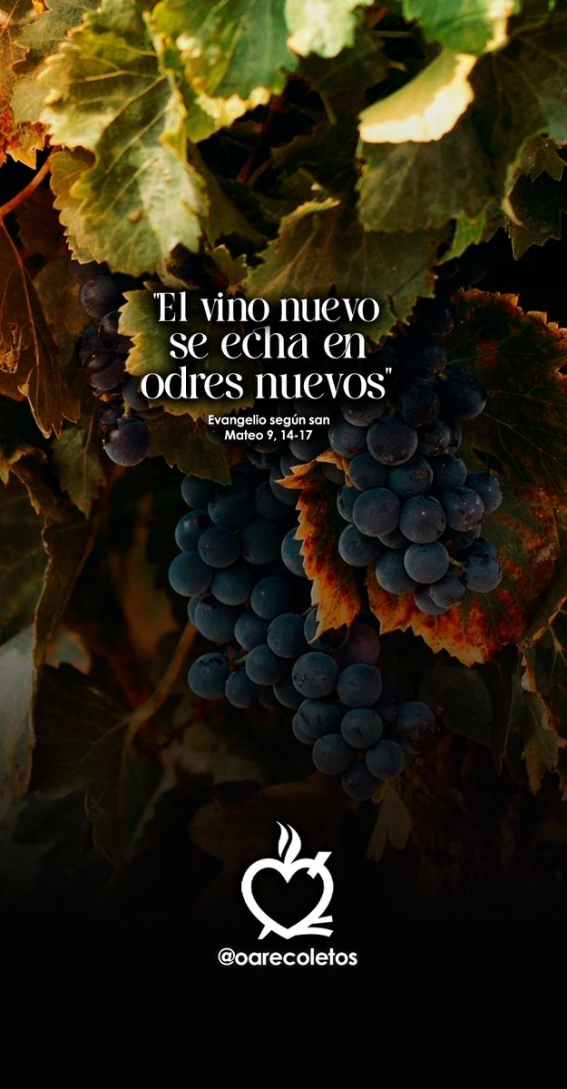 📖#EvangeliodelDia según san Mateo 9, 14-17

Nadie echa el vino nuevo en odres viejos, porque los odres se rasgan, se tira el vino y se echan a perder los odres. El vino nuevo se echa en odres nuevos y así las dos cosas se conservan’’.