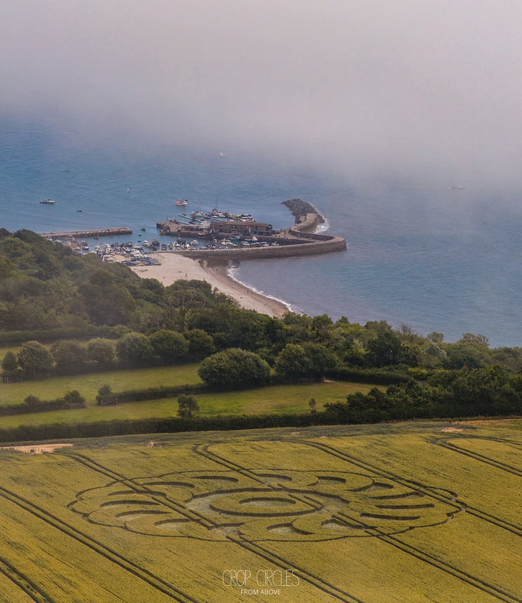 New #CropCircle 28 June 2025.
Devon UK 🇬🇧 
📸 Crop Circles From Above 
🌾🌾🌾