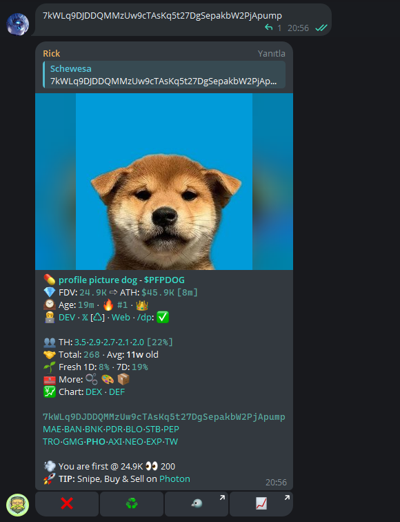 SchewesaGem's tweet photo. $PFPDOG profile picture dog 20x 🚀
CA :
7kWLq9DJDDQMMzUw9cTAsKq5t27DgSepakbW2PjApump

Coinin shillemesini görünce call atmak istedim. Coinin full takibini balina alımlarını bildirdim. Paylaştığım her coinin takibini yapar arkadaşlarıma bildiririm. Early caller için sende aramıza katıl. TG da aktif ol X destekleyici ol özel CA grubunda yerin olsun. Bunların bir çoğu kasa katlamasını özelden yapıyorum. Sırasıyla alıyorum. Giren arkadaşlar yakında pnl kazanç attıklarında göreceksiniz farkı. Kötü markette bile kazanç var.

Beğendiklerimi paylaşıyorum. Kendi görüşlerimdir. Yatırım tavsiyesi değildir. Bunu hiçbir zaman unutmayın.                            
 $BONK $TRUMP $ELON #elon #trump #coin #gem #time #10x #100x #1000x #crypto #sol #chain #grok #bsc #bnb #BONK $SOL $BNB #ETH $ETH $MASK $KITTY #meme #trade #cs #csgo #cat $hijab $baobao