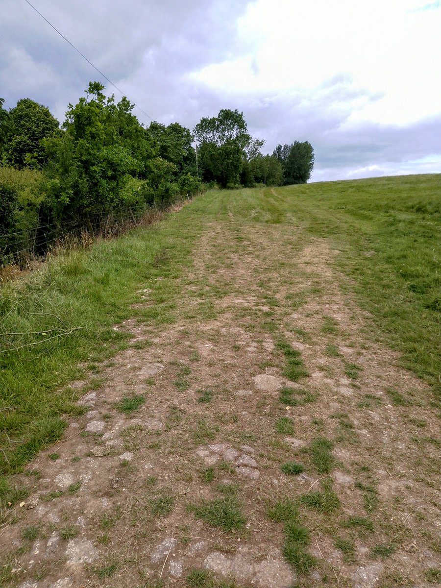 phil0073's tweet photo. Up #CliffesDale on the #Kettering2Faxton way #PhilOnaBike #WeekendWander #JuneJaunts #FootpathFriday #BywayFriday #treepeople https://t.co/OnUYKzfP41
