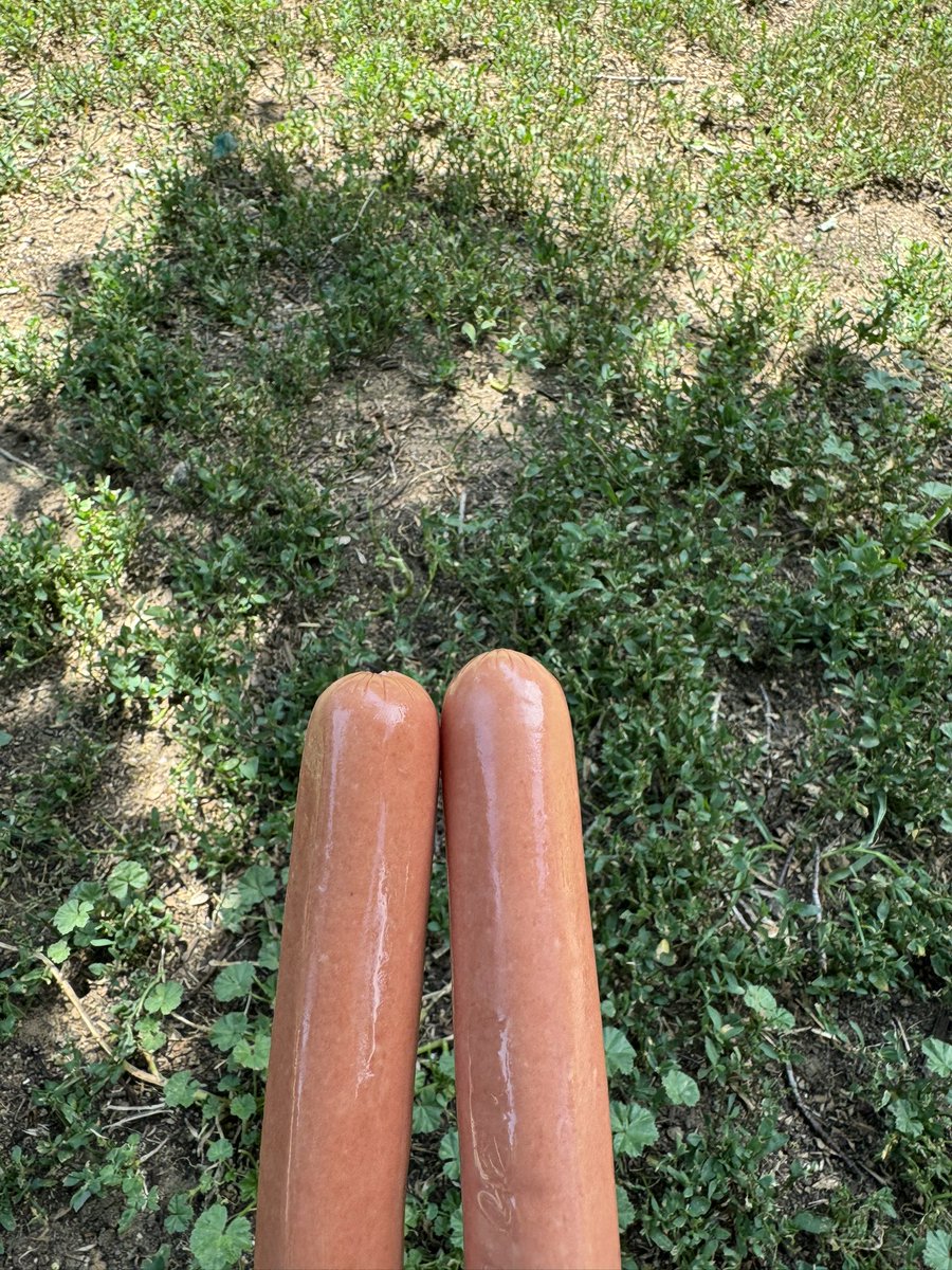 greg16676935420's tweet image. Hot dogs or legs?