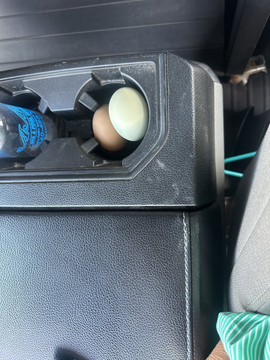 My grandson wanted me to have farm fresh eggs for the ride home!