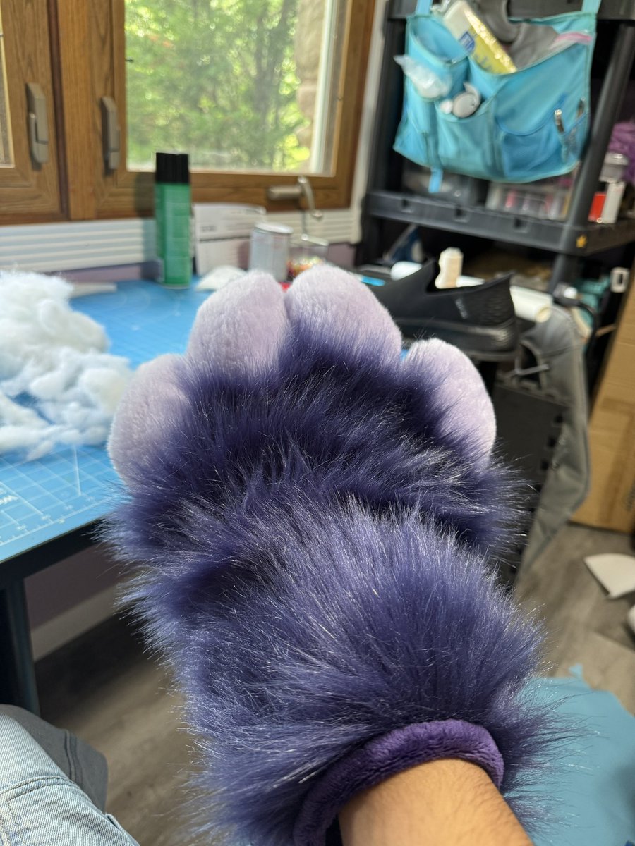 starbrightsuits's tweet image. Boom 🐾