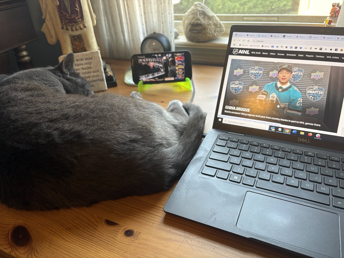 barryrubinstein's tweet image. #NHLDraft #workingfromhome