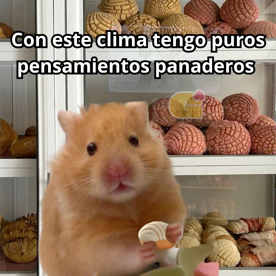 El Guarromántico tweet media