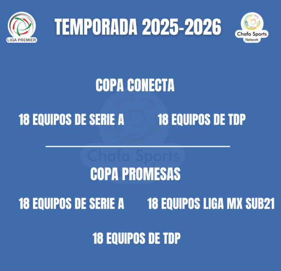 primopremier2's tweet photo. 🔹 Copa Conecta: (18) Serie A vs (18) TDP
🔹 Copa Promesas: (18) Serie A, (18) Sub-21 y (18)TDP
🌟 El futuro del fútbol mexicano ya está aquí.
#CopaConecta #CopaPromesas #TalentoMexicano https://t.co/LLG9HSgeFZ