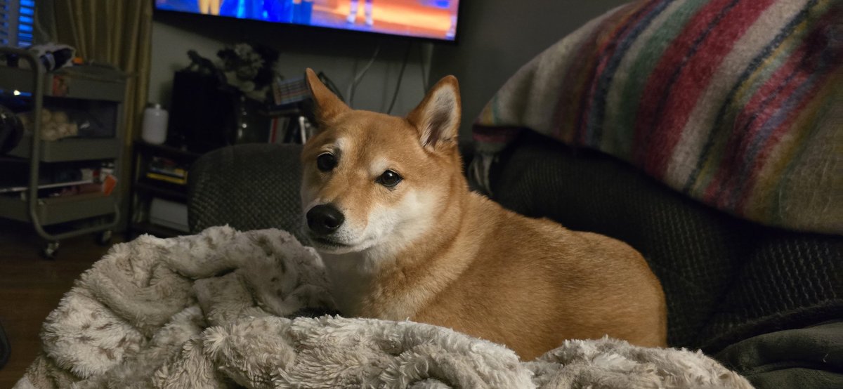 Anya, RVT (@veggielasanya) on Twitter photo Okay hear me out. <a href="/SSDERANGEMENTSS/">Seeking Derangements</a> episode where Jacque (spelling?) Reacts to r/antisex posts <a href="/as_someone_who/">Ben</a> <a href="/ZeroSuitCamus/">Claire Penis</a> (sheeb for tax) Okay hear me out. <a href="/SSDERANGEMENTSS/">Seeking Derangements</a> episode where Jacque (spelling?) Reacts to r/antisex posts <a href="/as_someone_who/">Ben</a> <a href="/ZeroSuitCamus/">Claire Penis</a> (sheeb for tax)
