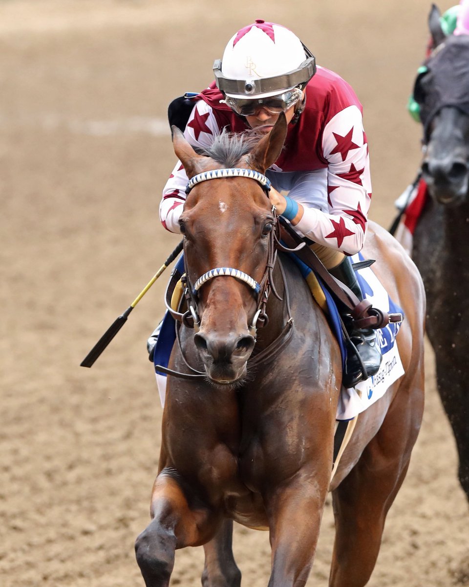 blindadosalas1's tweet photo. #Hipismo ¡VOLVIÓ LA REINA! Hace varios minutos THORPEDO ANNA 🇺🇸 recuperó la senda del triunfo esta tarde en #ChurchillDowns al llevarse el #FleurDeLisStakes (Gr.1) Quedó lista para reeditar en la #BCDistaff aunque muy seguramente su trainer KENNETH MC PEAK tenga otros planes. https://t.co/yCX063XGZA