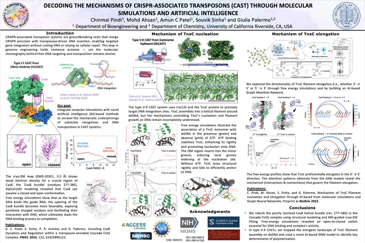 Giulia Palermo (@palermo_lab) on Twitter photo Excited to be at the <a href="/ProteinSociety/">proteinsociety</a> meeting in SF! Curious how #NeuralNetworks can decode biomolecular mechanisms? Don’t miss the poster by <a href="/ChinmaiPindi/">Chinmai Pindi</a> and <a href="/AmunPatel/">Amun Patel</a> ! 🔬🧬📊#ProteinSociety2025 #AI #Proteins #CRISPR #DNA Excited to be at the <a href="/ProteinSociety/">proteinsociety</a> meeting in SF! Curious how #NeuralNetworks can decode biomolecular mechanisms? Don’t miss the poster by <a href="/ChinmaiPindi/">Chinmai Pindi</a> and <a href="/AmunPatel/">Amun Patel</a> ! 🔬🧬📊#ProteinSociety2025 #AI #Proteins #CRISPR #DNA
