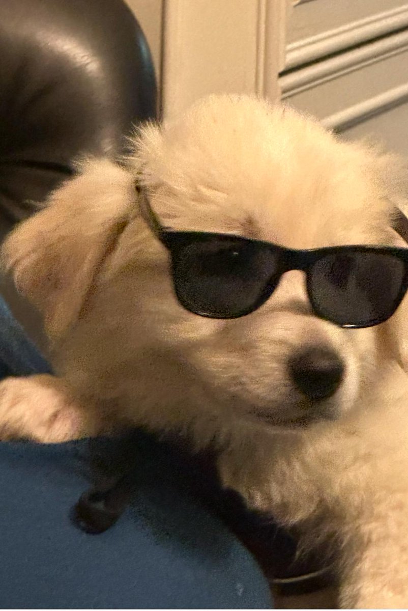 Wrix2's tweet photo. @KaceyKells @MQuigley1963 @VashtiQV @OONs5QYe7Vbe8Hp @quill_pen1 @quixote_1985 @Quinnqueens @QuibellPaul @JasonWo97579812 @CoramayWilson @DaisyWo62695811 @GhostThe50178 @Jeanette_walls0 @jordana_greene @jrfwitty @LiosiNovelist @martiandiaries @SkyWatcher_HL #FirstWeekendOfSummer https://t.co/9Tt1SuP6wX