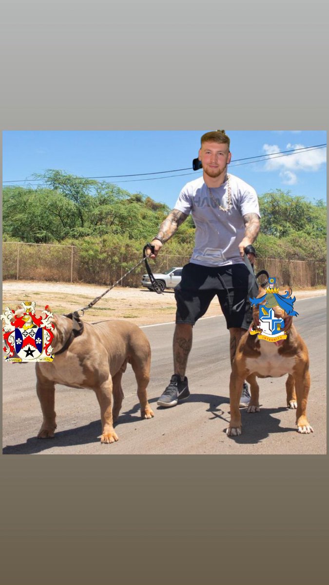 Just a fat ginger pig taking his dogs for a walk. Got more neck than a giraffe off stayley, 56* and 3-43, sent pro to Mossley, off ye pop. 43-7 against dukinfield, 57 and 4-22. <a href="/MilnrowCC/">Milnrow Cricket Club</a> top of the league. Who needs cruicky anyway? <a href="/JackWynn0/">JackWynn</a>