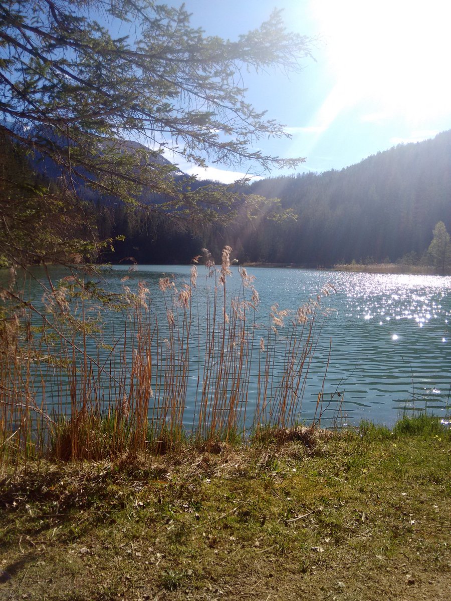 See im Gebirge .Austria Alps. 
Handy Foto .
 Motorola