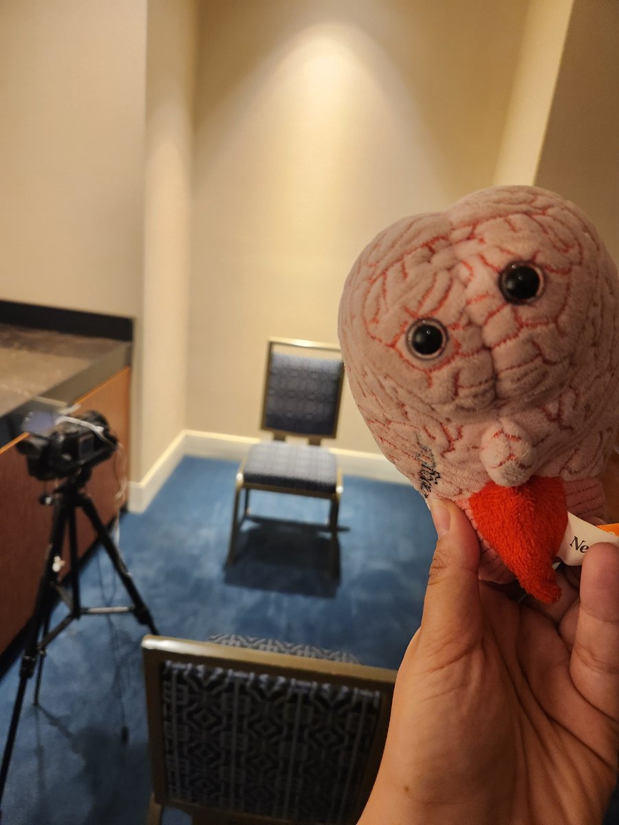 neurology_live's tweet photo. 🧠 🗣 Our last couple of interviews of Day 2 for #ATMRD2025 were with movement disorder experts Jennifer Corcoran, MD, of @UR_Med, and @MartelloMD, of @christianacare! Stay tuned for their conversations coming soon! @PMDAlliance 🌸 📹 https://t.co/7kTSMurjrt