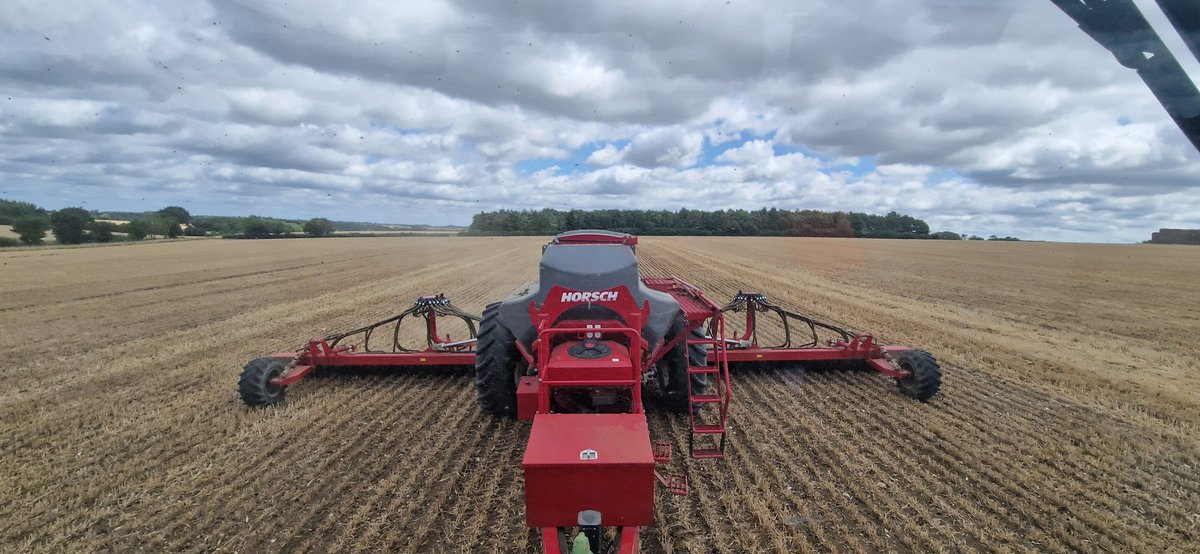 bencm305's tweet image. A steady 45ha on the counter today.