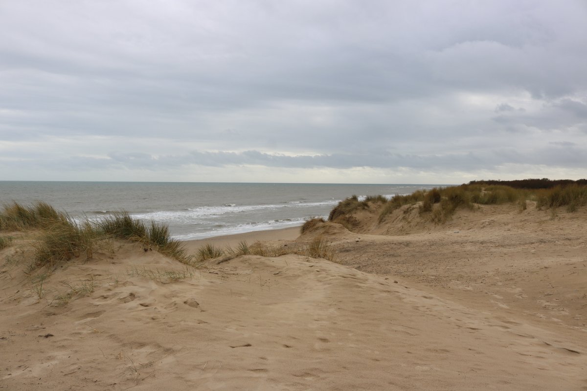 Breda Gahan (@health_hiv2030) on Twitter photo 28.6.25 #WorldSandDuneDay & Every Day. Protect our Dunes #Morriscastle Co. #Wexford had the best ones I know growing up lovegorey.ie/morriscastle/ <a href="/visitwexford/">Visit Wexford</a> <a href="/OfficialWexGAA/">Wexford GAA</a> <a href="/wexfordcamogie/">Official Wexford Camogie</a> <a href="/wexfordcoco/">Wexford County Council</a> <a href="/wexfordarts/">@Wexford Arts Centre</a> <a href="/CleanCoasts/">Clean Coasts</a> <a href="/Failte_Ireland/">FĂĄilte Ireland</a> <a href="/byrne_padraig/">PĂĄdraig Byrne</a> <a href="/TalbotWexford/">Talbot Wexford</a> <a href="/rte/">RTĂ</a> 28.6.25 #WorldSandDuneDay & Every Day. Protect our Dunes #Morriscastle Co. #Wexford had the best ones I know growing up lovegorey.ie/morriscastle/ <a href="/visitwexford/">Visit Wexford</a> <a href="/OfficialWexGAA/">Wexford GAA</a> <a href="/wexfordcamogie/">Official Wexford Camogie</a> <a href="/wexfordcoco/">Wexford County Council</a> <a href="/wexfordarts/">@Wexford Arts Centre</a> <a href="/CleanCoasts/">Clean Coasts</a> <a href="/Failte_Ireland/">FĂĄilte Ireland</a> <a href="/byrne_padraig/">PĂĄdraig Byrne</a> <a href="/TalbotWexford/">Talbot Wexford</a> <a href="/rte/">RTĂ</a>