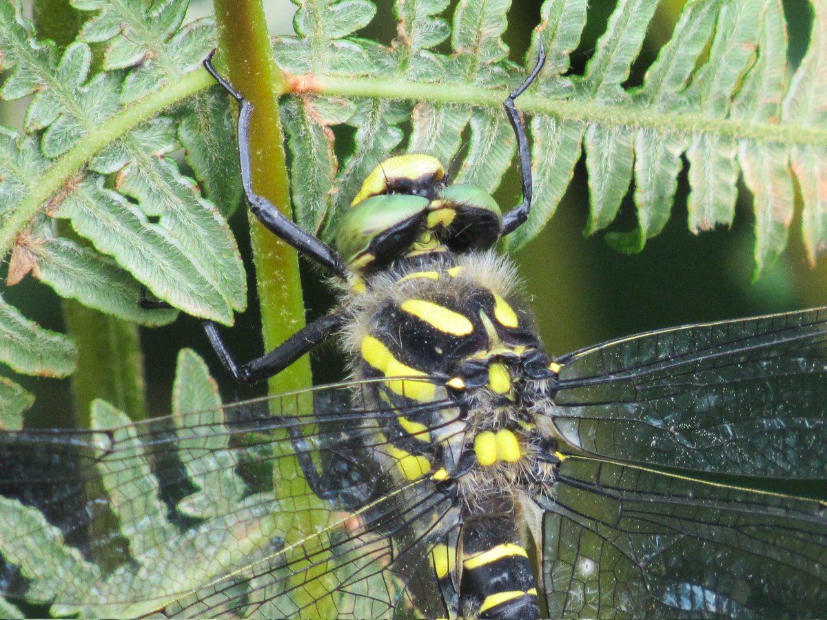 Michael Bell tweet media