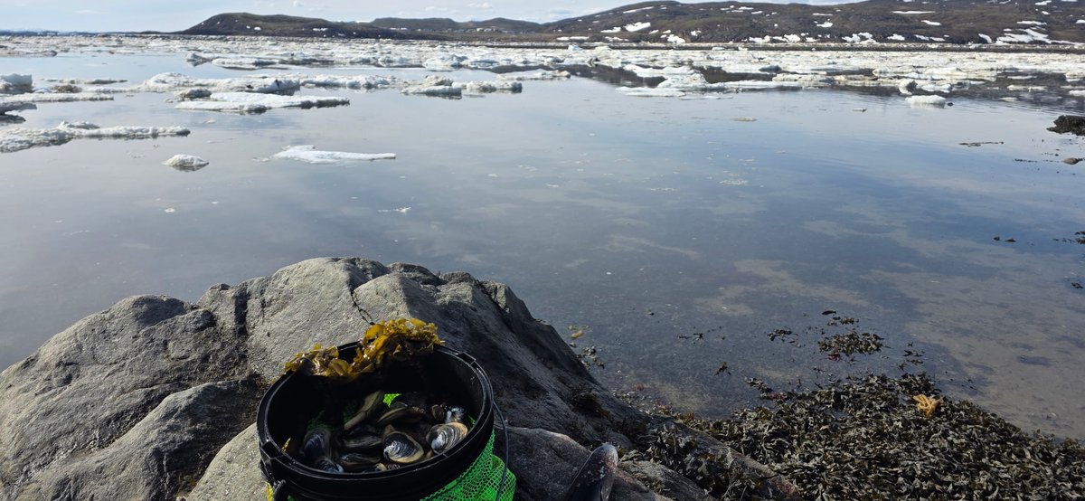 And so the season of harvesting begins! 🙌🤤