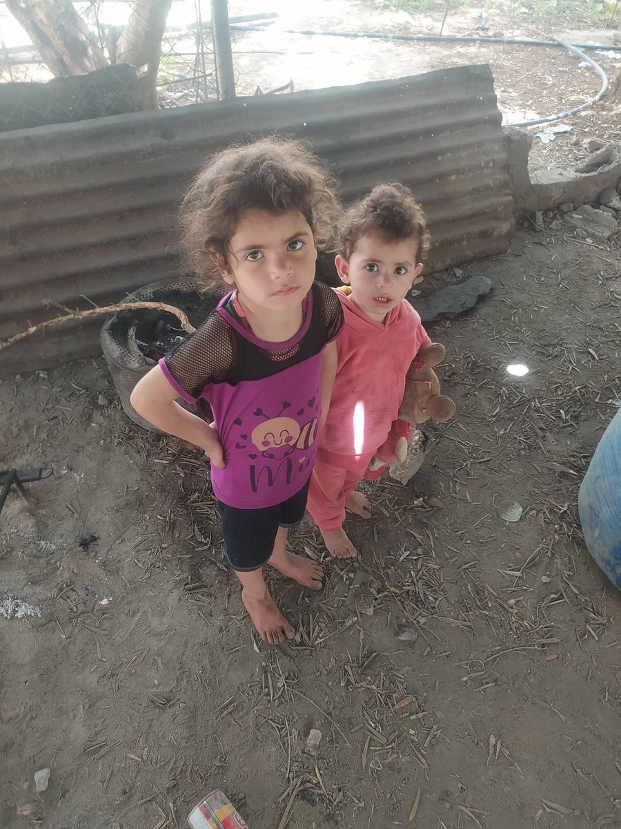 bardini64433's tweet photo. https://t.co/JBVfIWXv94
I am Palestinian and I am
 not a terrorist 💯🇵🇸😢 https://t.co/USeESUYsUo