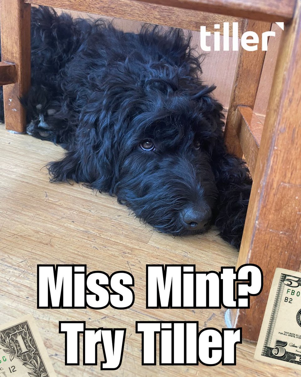 Miss Mint? Upgrade to Tiller.com/x

💵 Manage your finances with daily automatic updates. 
🙋🏼‍♀️ Enjoy the amazing customer service.
🔐 Private and secure

Use our templates to track your budget, net worth, and more for a complete view of your money 

#PersonalFinance
