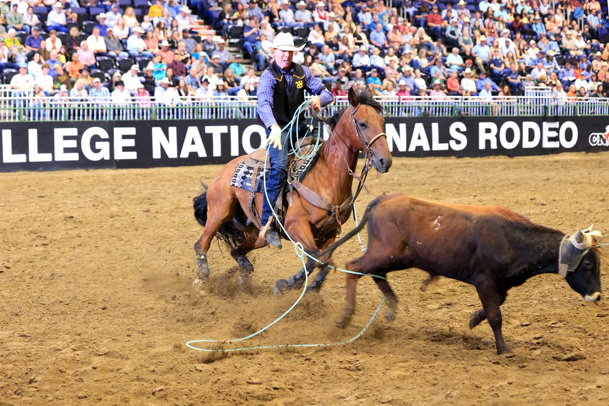 WCCoyotes's tweet image. WC&apos;s team roper Cashton Weidenbener brought home a national championship from the College National Finals Rodeo in Casper, Wyoming, earlier this month! Weidenbener (heeler) and Cason Richey of Texas Tech University (header) won the title with a score of 26.2 over four rounds.