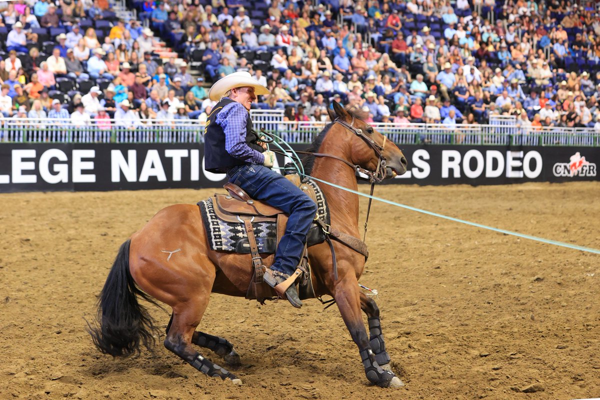 WCCoyotes's tweet image. WC&apos;s team roper Cashton Weidenbener brought home a national championship from the College National Finals Rodeo in Casper, Wyoming, earlier this month! Weidenbener (heeler) and Cason Richey of Texas Tech University (header) won the title with a score of 26.2 over four rounds.