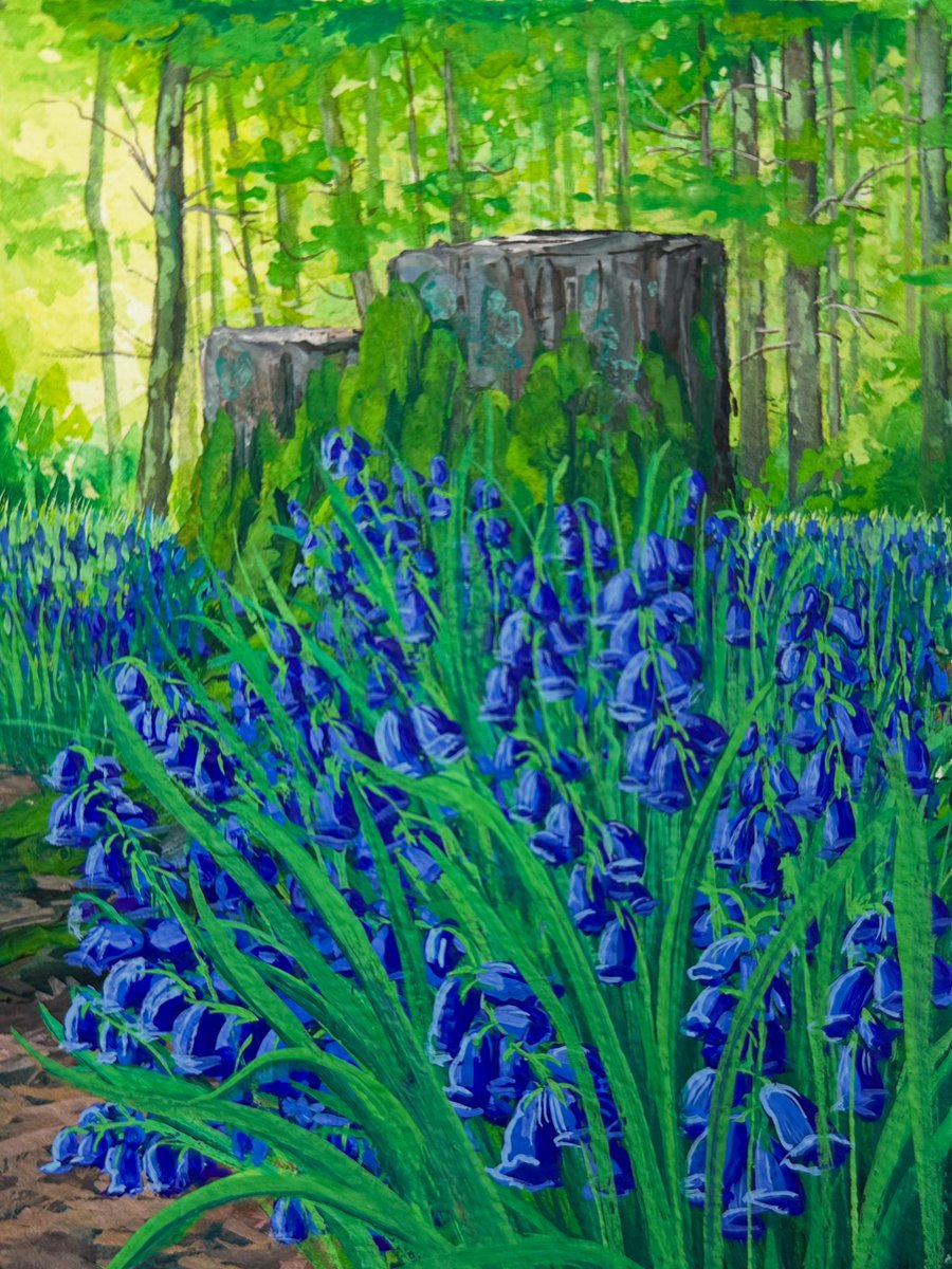 ‘Bluebells in the Forest’ 
Yorkshire, England 
6x4" gouache
Available AND included in my ongoing 60% off sale! 
My entire inventory of original paintings are currently 60% off the price listed on my website!
kateaveryart.com/gouache/bluebe…