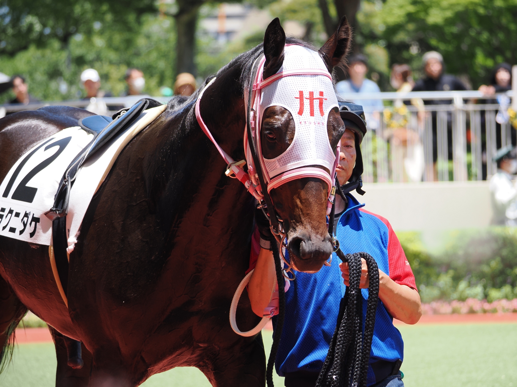 【希少】シンエンペラー ☆メイクデビュー東京 ☆ホープフルＳ 現地単勝馬券 希少】シンエンペラー ☆メイクデビュー東京 ☆ホープフルS
