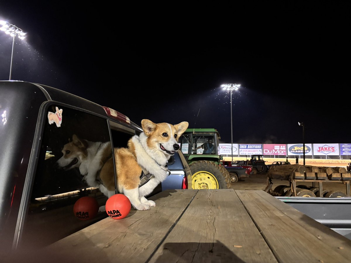 PushCorgi's tweet image. Tossing out @PapaJohns balls to lucky fans for the 305 sprint qualifiers at @PortRoyalSpdway #speedpalace
