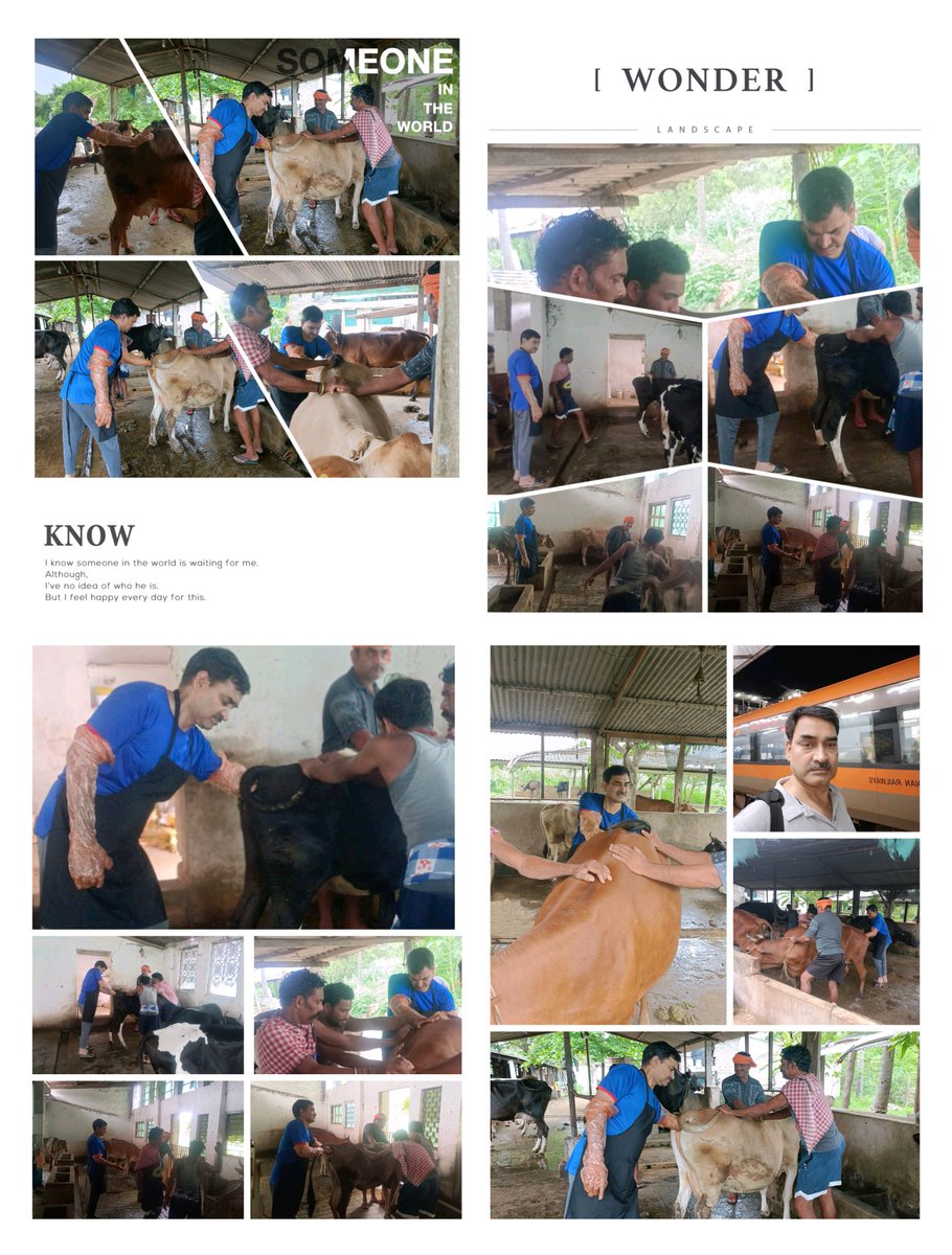 kailash226073's tweet image. Spent the long weekend doing what I love most — serving our dairy farmers and their silent companions.
When duty becomes devotion, even holidays become meaningful.
#AnimalWelfare #VeterinaryService #DairyFarming  #FieldVisit #FarmerFirst #InfertilityManagement #ServiceBeyondDuty