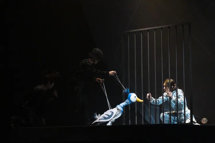 So1_Staff's tweet image. 【staff】
#W3 東京千穐楽です!!
本日は12:00公演です⚠️
外は暑いのでお気をつけてお越しください✨
囚われの光一です🦆🤝🏻
#平間壮一