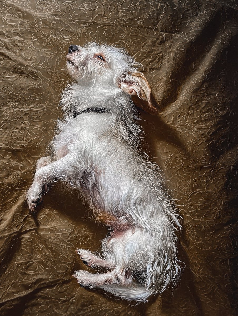 DavidLaChanceJr's tweet image. Omnireference, oil on linen prompt of my dog. Midjourney nailed it. I love these.
#midjourneyart #midjourney #aiart #aiartwork #dog