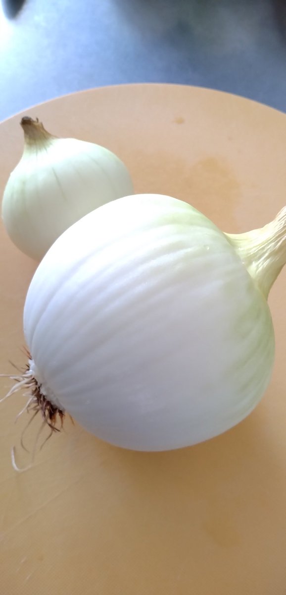 圧倒的デカさ‼️
俺もこのぐらいデカくなりたい💪
#玉ねぎ