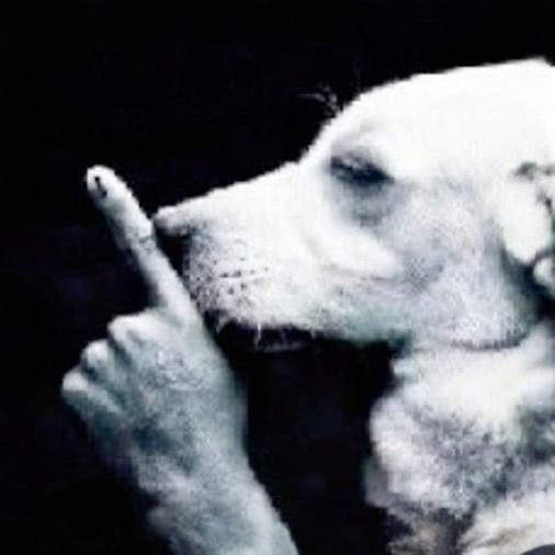 <a href="/cyrilXBT/">CyrilXBT</a> I am just $Shh ing and buying more